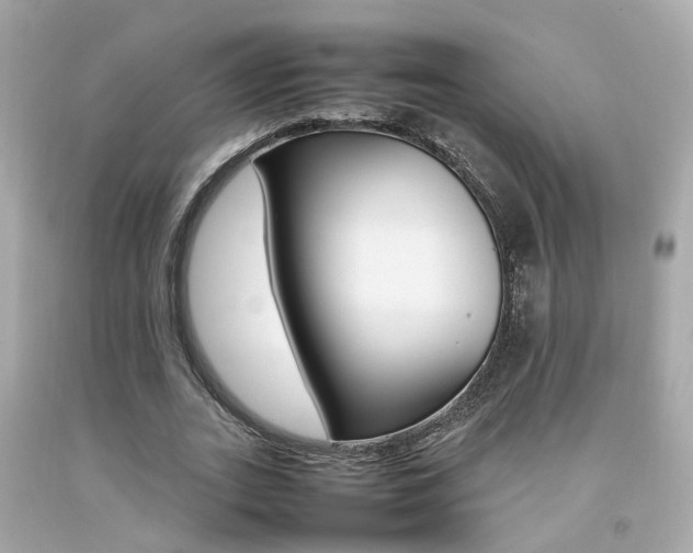X0000092090727200709121125