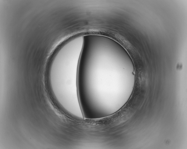 X0000092090728200709121125