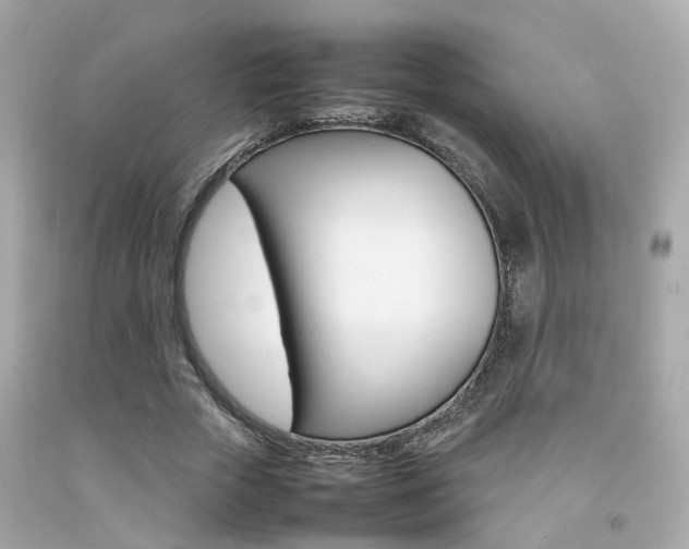 X0000092090729200709121125