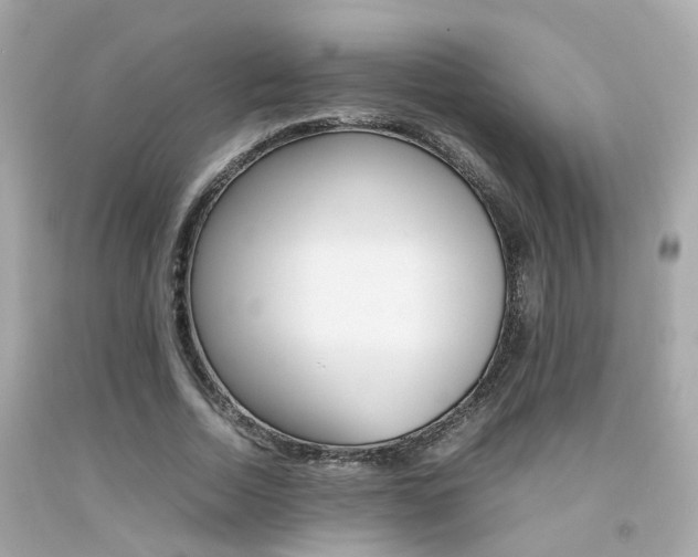 X0000092090730200709121125