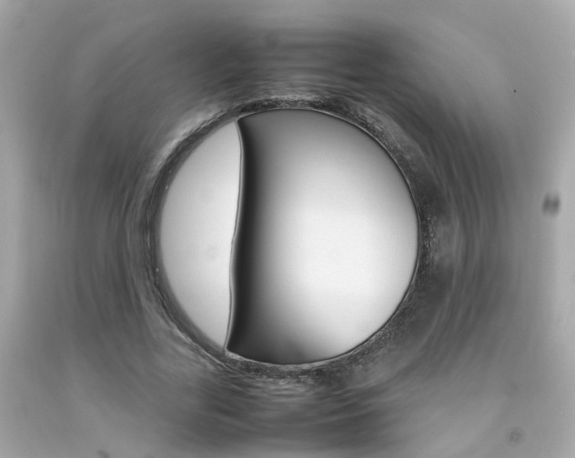 X0000092090731200709121125
