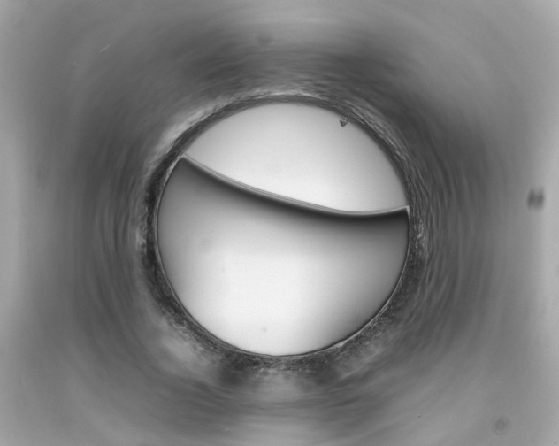 X0000092090732200709121125