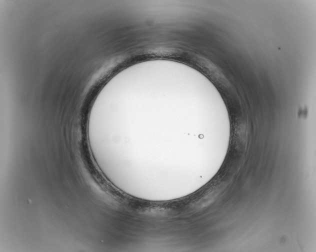 X0000092090734200709121125