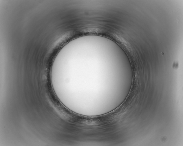 X0000092090735200709121125