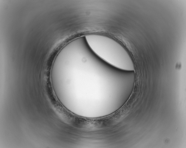 X0000092090736200709121125