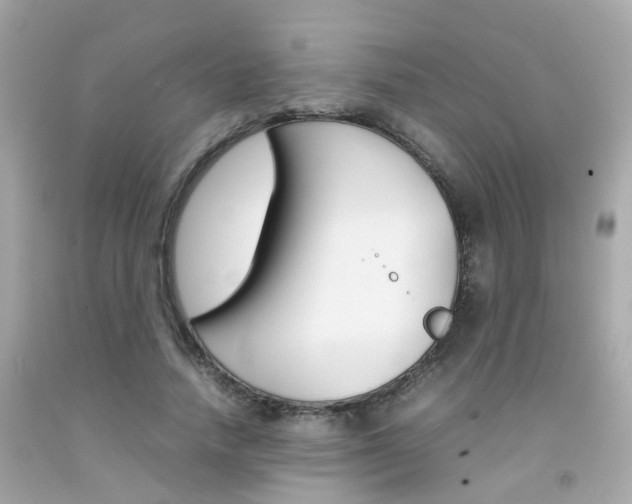 X0000092090738200709121125