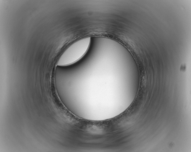 X0000092090739200709121125