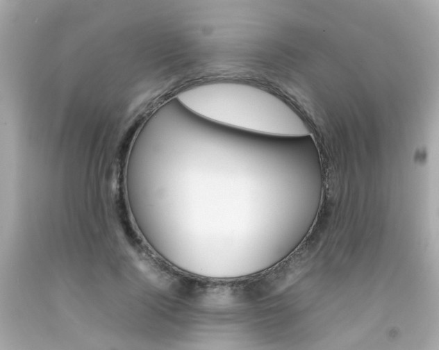 X0000092090740200709121125