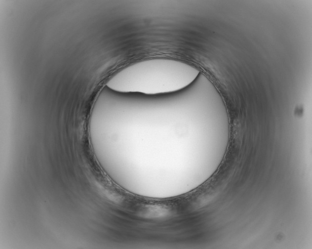 X0000092090741200709121125