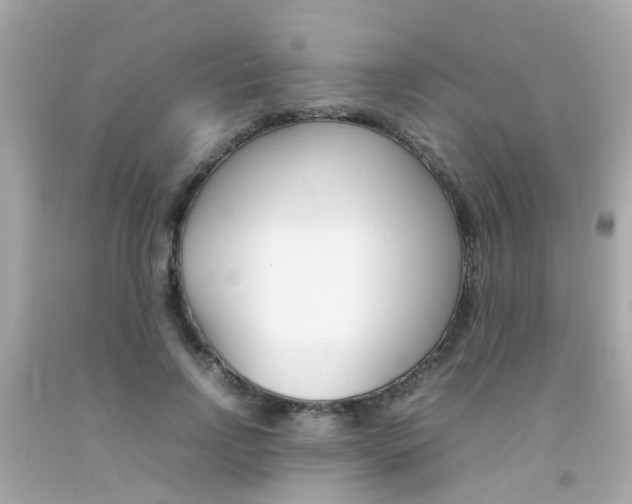 X0000092090742200709121125
