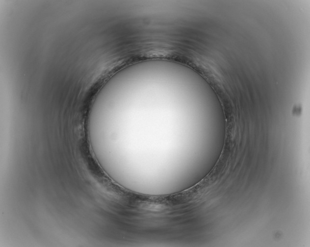 X0000092090743200709121125