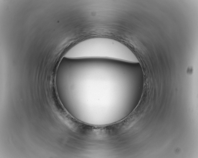 X0000092090744200709121125