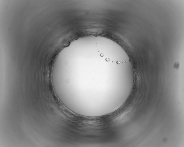 X0000092090745200709121125