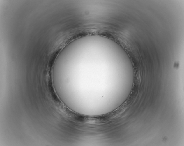 X0000092090746200709121125