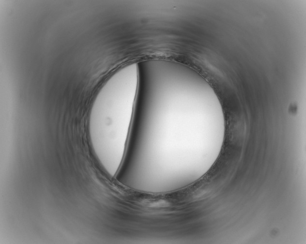 X0000092090747200709121125