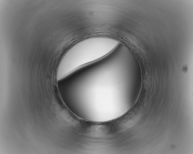 X0000092090748200709121125