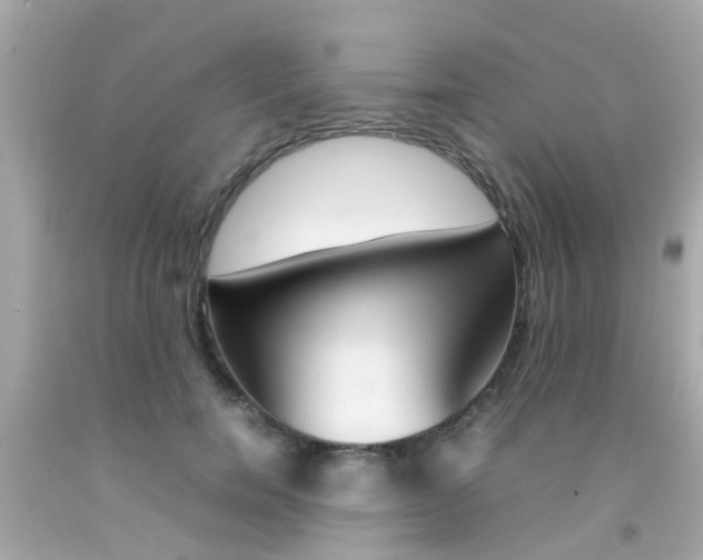 X0000092090750200709121125