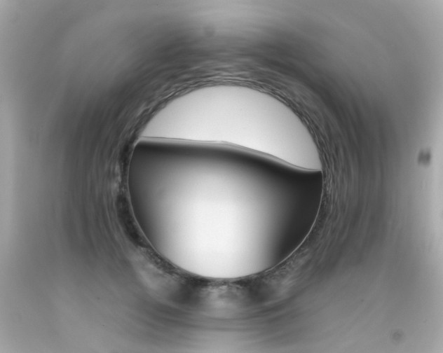 X0000092090752200709121125