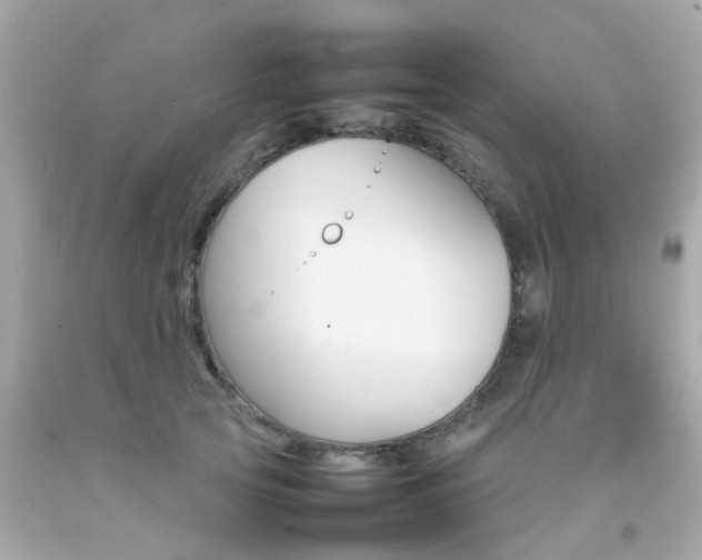 X0000092090753200709121125