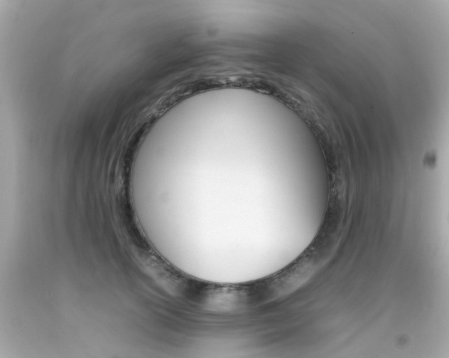 X0000092090754200709121125