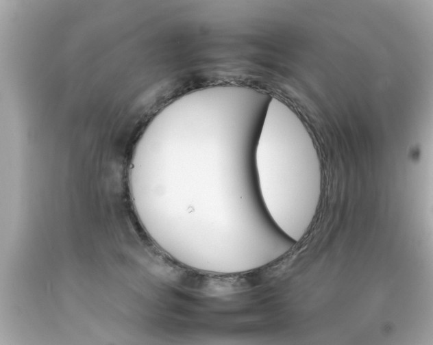 X0000092090757200709121125