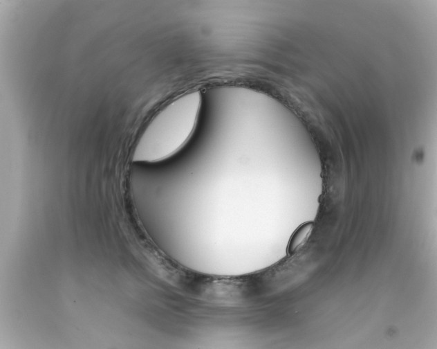 X0000092090758200709121125