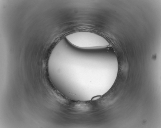 X0000092090759200709121125