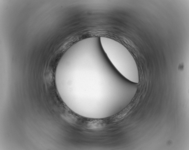 X0000092090761200709121125