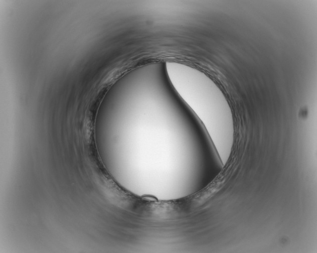 X0000092090762200709121125