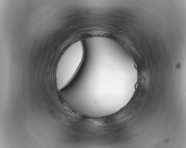 X0000092090763200709121125