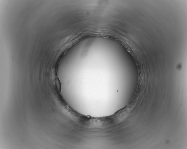 X0000092090764200709121125