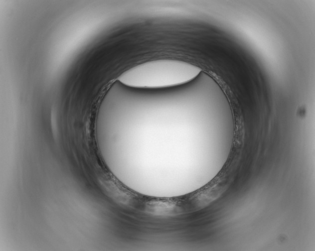 X0000092090765200709121125