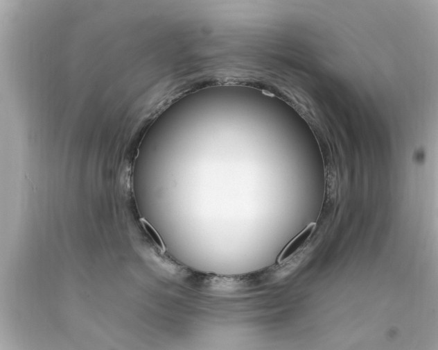 X0000092090766200709121125