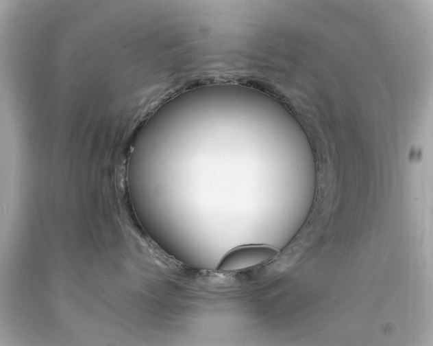 X0000092090768200709121125