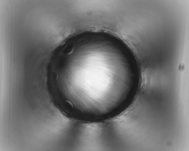 X0000092090770200709121125