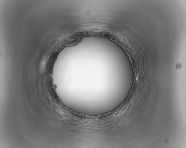 X0000092090771200709121125