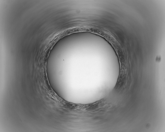 X0000092090773200709121125