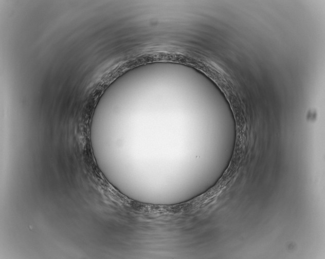 X0000092090774200709121125