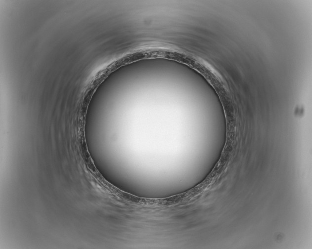 X0000092090775200709121125