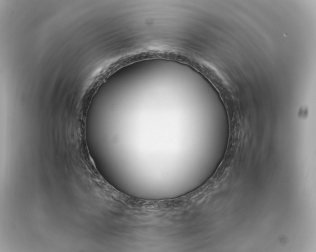 X0000092090776200709121125