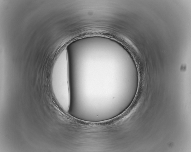 X0000092090777200709121125