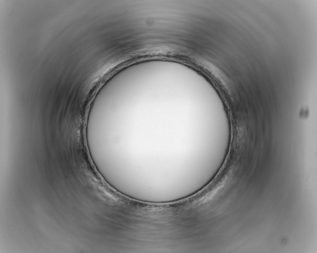 X0000092090778200709121125