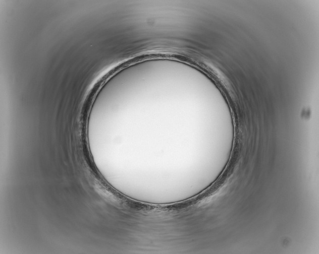 X0000092090779200709121125