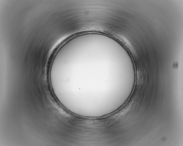 X0000092090780200709121125