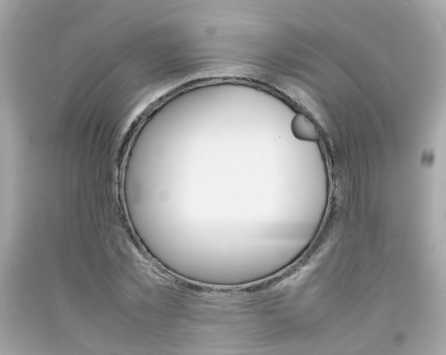 X0000092090781200709121125