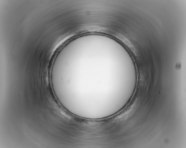 X0000092090782200709121125