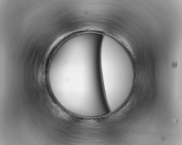 X0000092090784200709121125