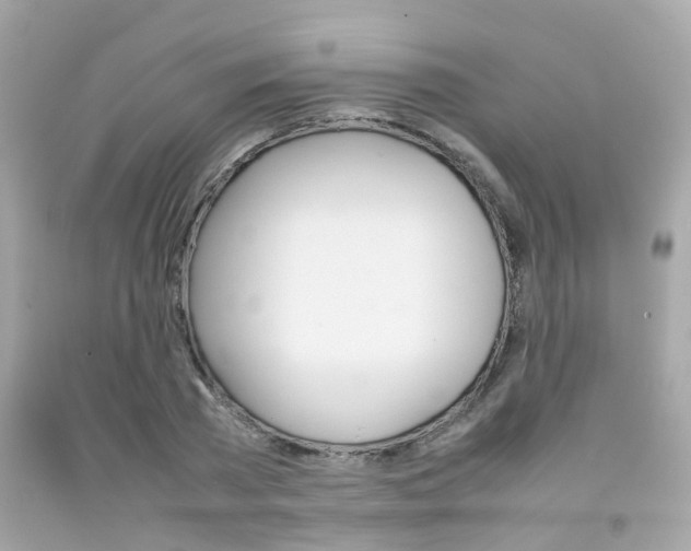 X0000092090785200709121125