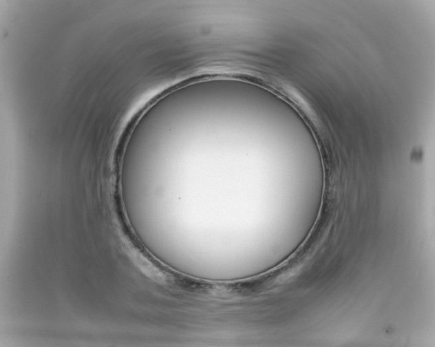 X0000092090787200709121125