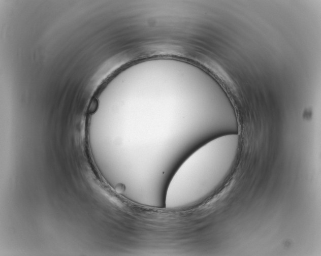 X0000092090790200709121125